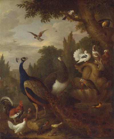 Peacock, Peahen, Parrots, Canary, and Other Birds in a Park by Jacob Bogdani
